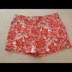 Loft shorts